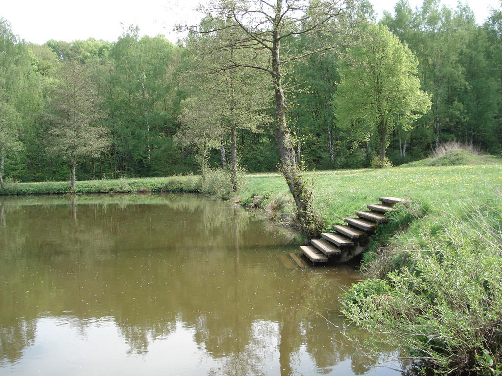 dsc05653