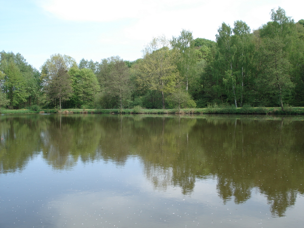 dsc05654