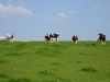 dscn0453