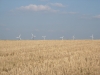 dscn0464