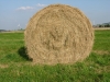 dscn0467