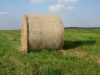 dscn0468